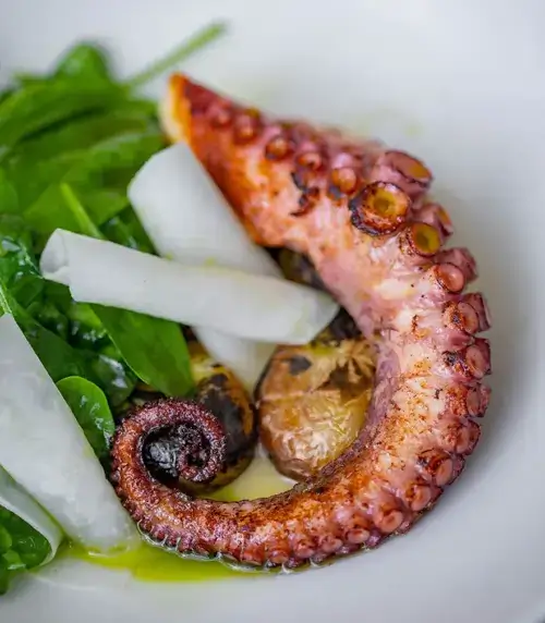 اخطبوط مشوي اخطبوط مشوي